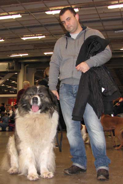 Vi gratulerar Bobby och Little Merlin's Ocimum till BIR, Cert, Cacib och SUCH på MyDog 2011-01-08